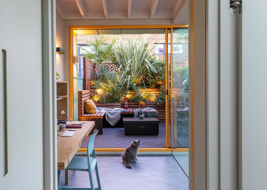 A Penthouse for Two Cats